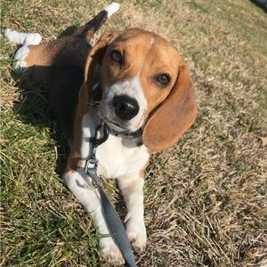 Meet your Posher, Lillian